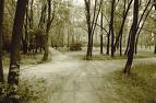 20090505205609-mages.jpg
